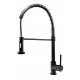 Faucet with pull-out spout SUN black